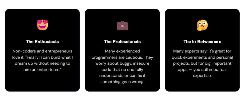 People and their opinion of vibe coding